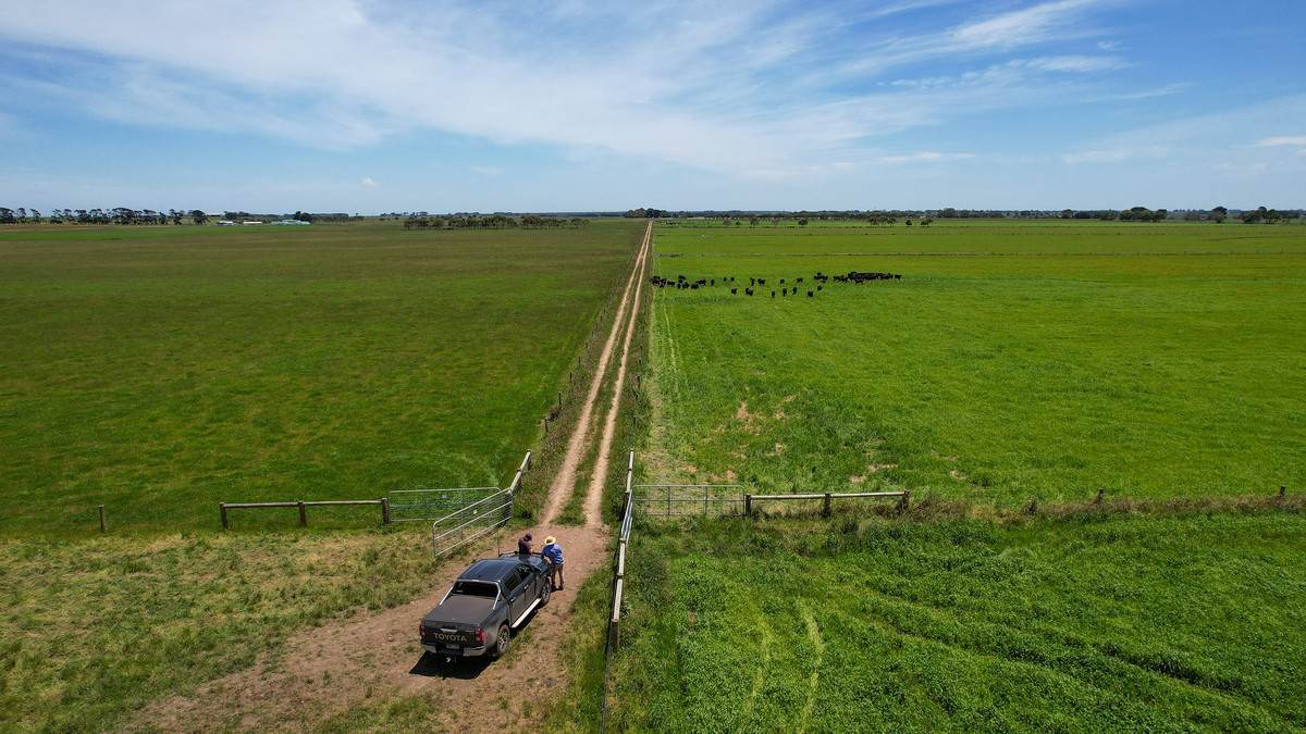'Mount View' Occupation Lane, Garvoc For Sale by Farmbuy.com - image 7