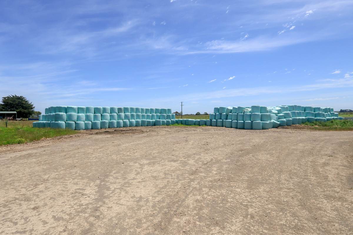 'Mount View' Occupation Lane, Garvoc For Sale by Farmbuy.com - image 14