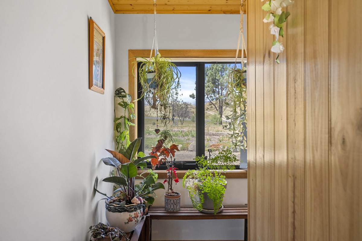 1019 Dolphin Sands Road, Dolphin Sands For Sale by Farmbuy.com - image 17