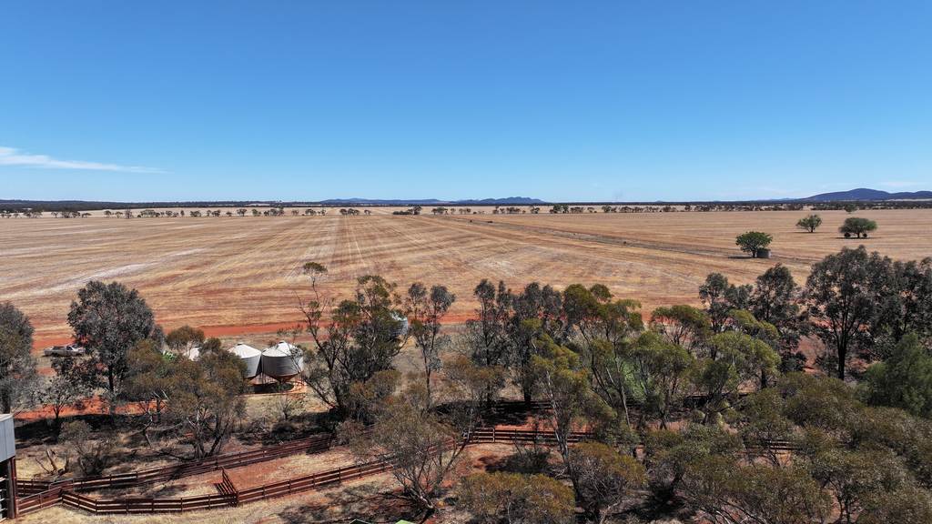 Part Farm 2974 Wollarma Road, Rankins Springs NSW 2669