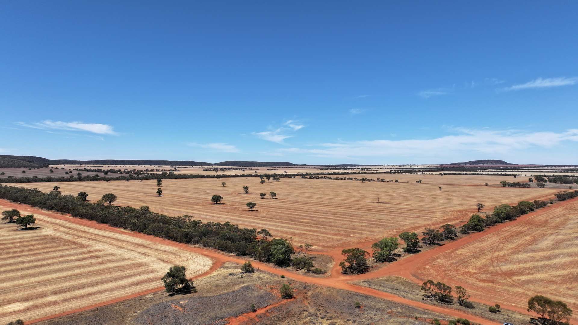 Part Farm 2974 Wollarma Road, Rankins Springs For Sale by Farmbuy.com - image 8
