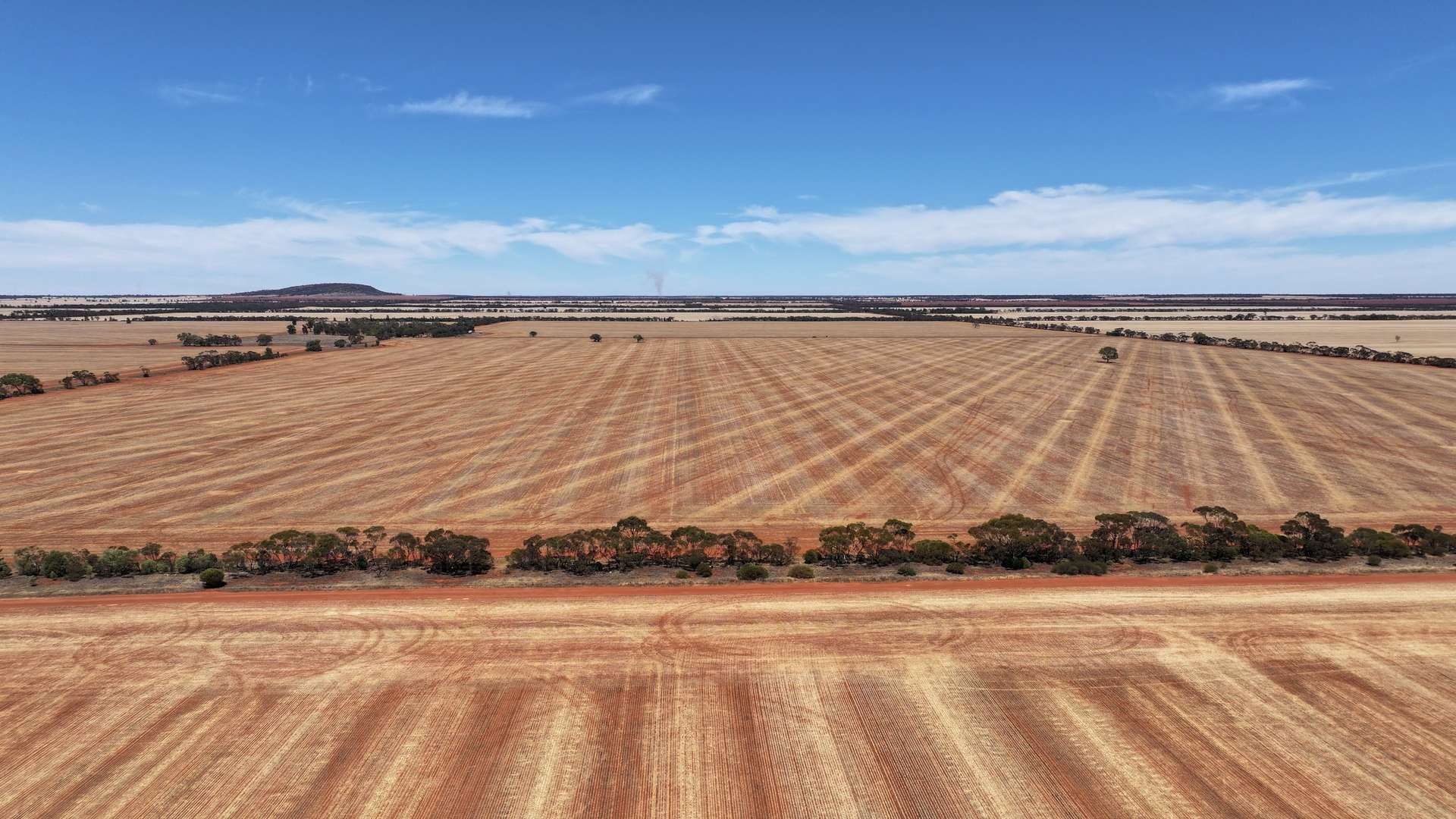 Part Farm 2974 Wollarma Road, Rankins Springs For Sale by Farmbuy.com - image 7
