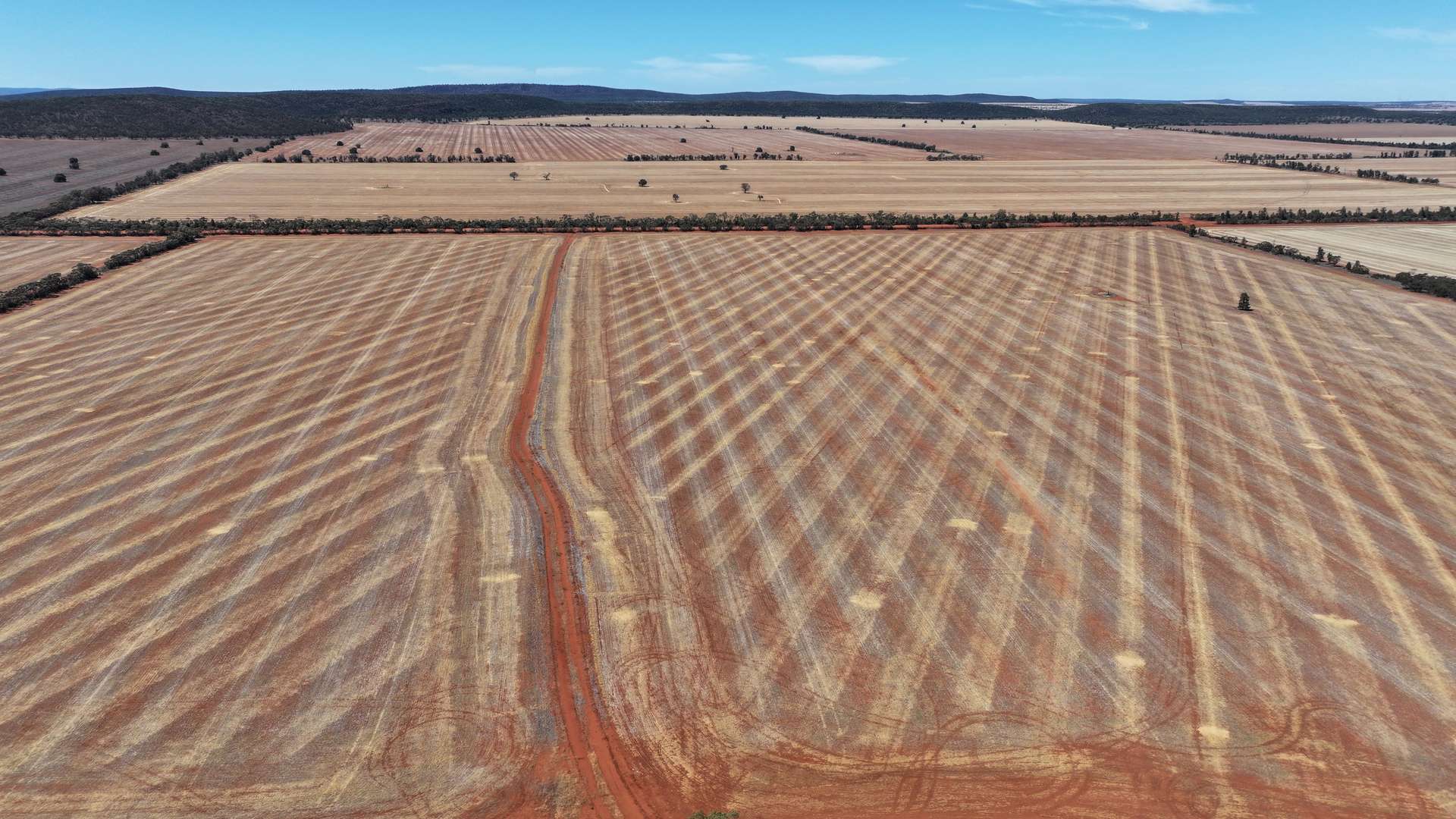 Part Farm 2974 Wollarma Road, Rankins Springs For Sale by Farmbuy.com - image 13