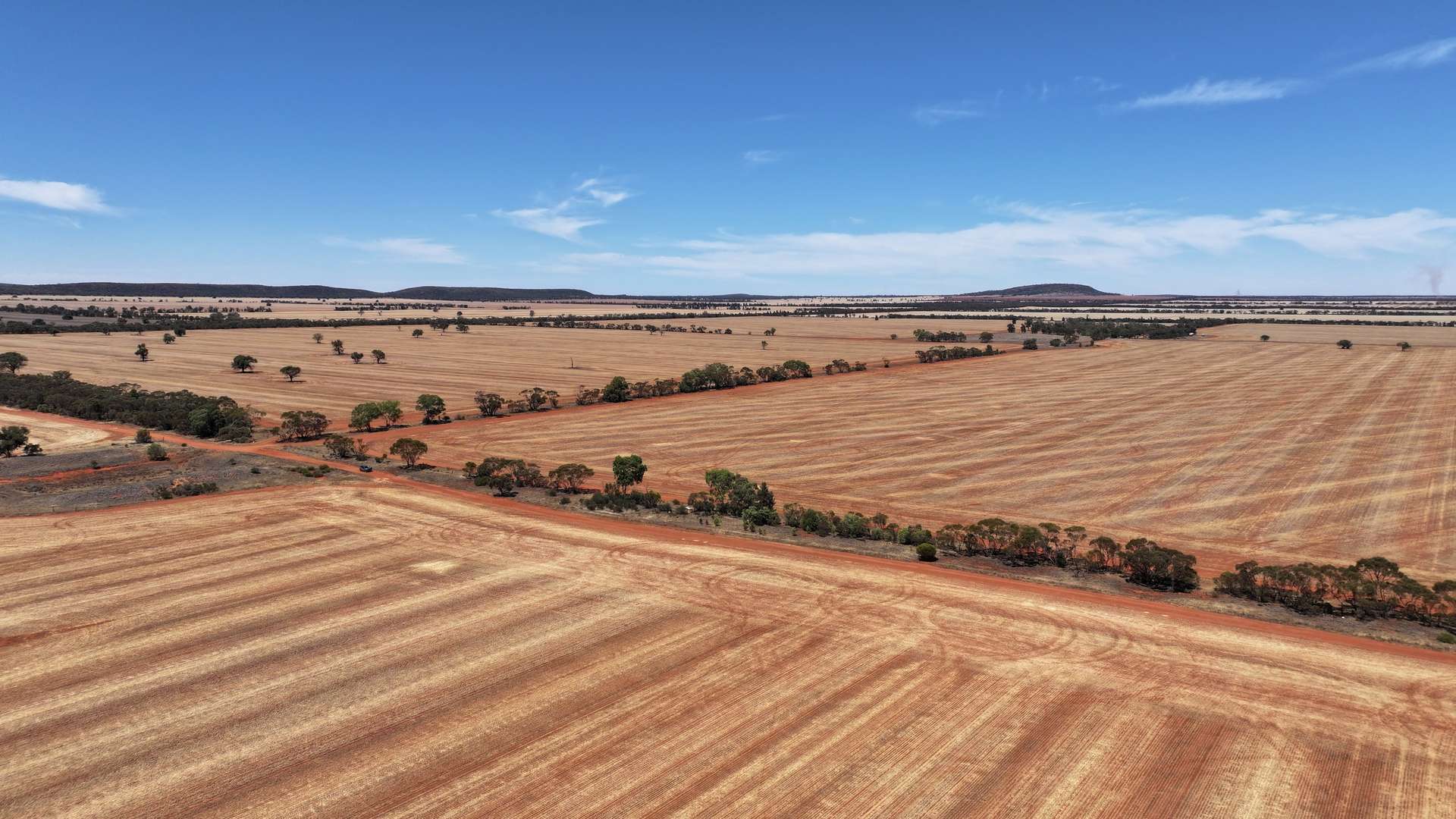 Part Farm 2974 Wollarma Road, Rankins Springs For Sale by Farmbuy.com - image 6