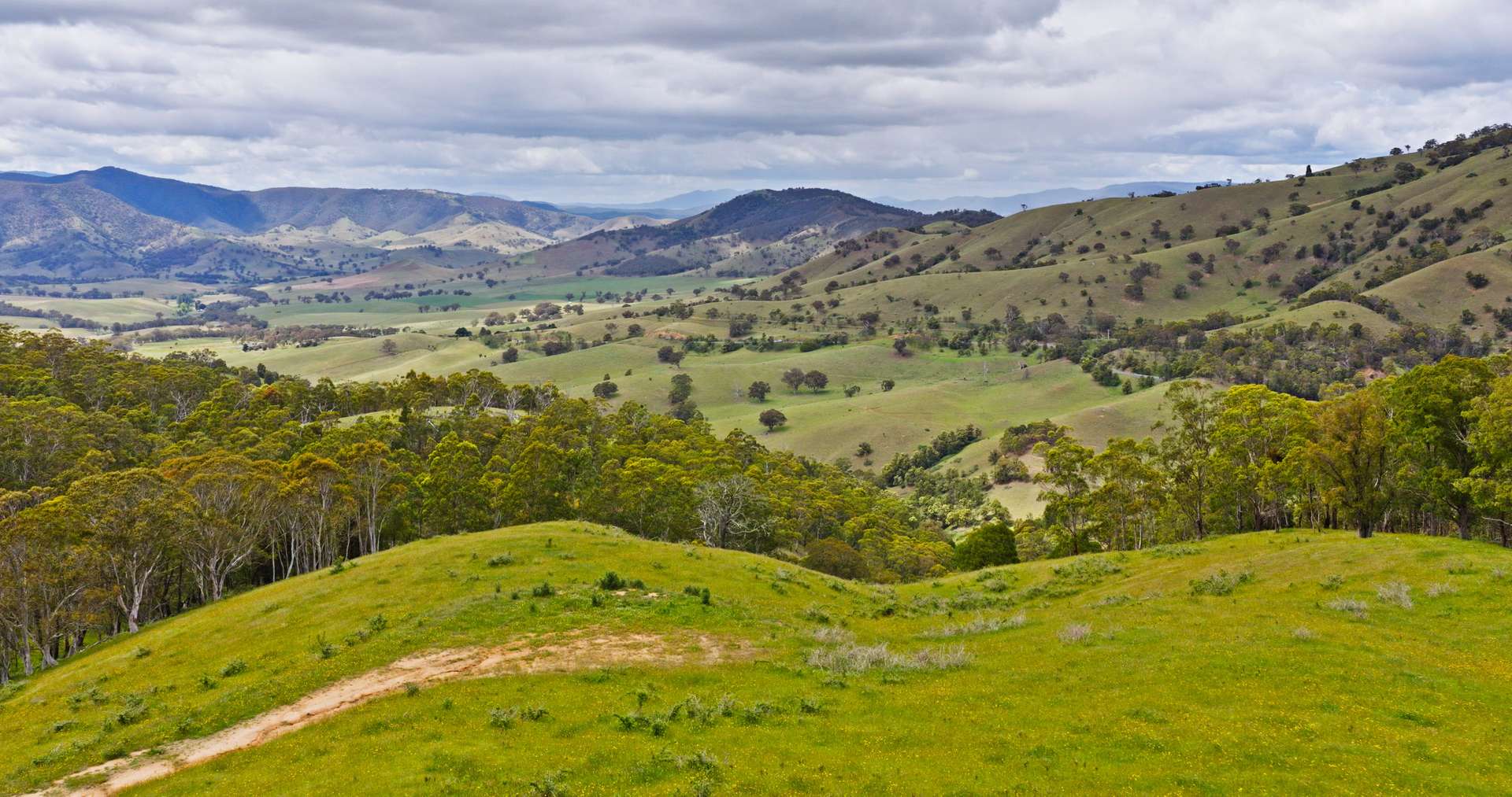 Lot 3 - 289 Tongio Gap Road, Tongio For Sale by Farmbuy.com - image 2