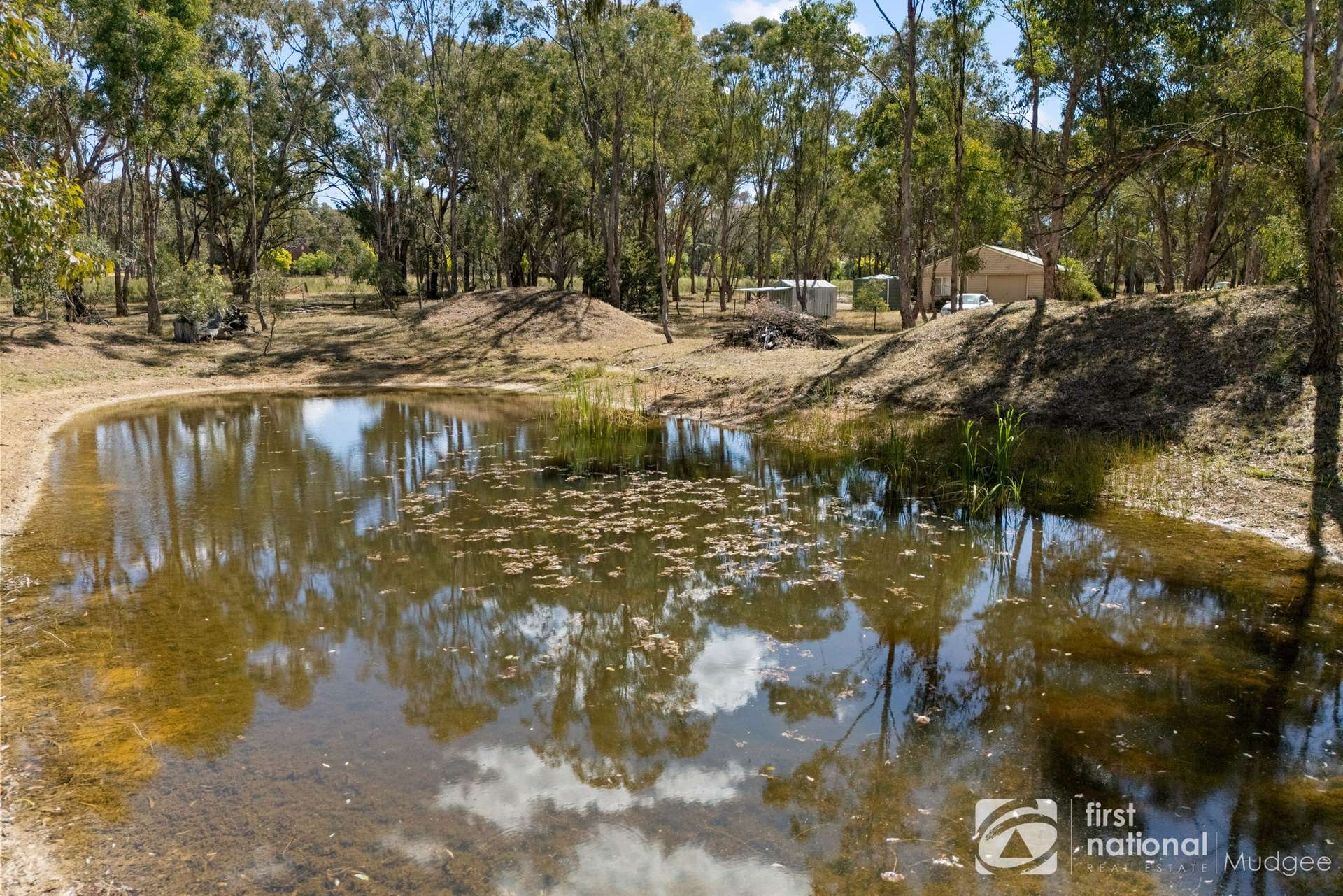 10 Garner Street, Lue Sold by Farmbuy.com - image 11