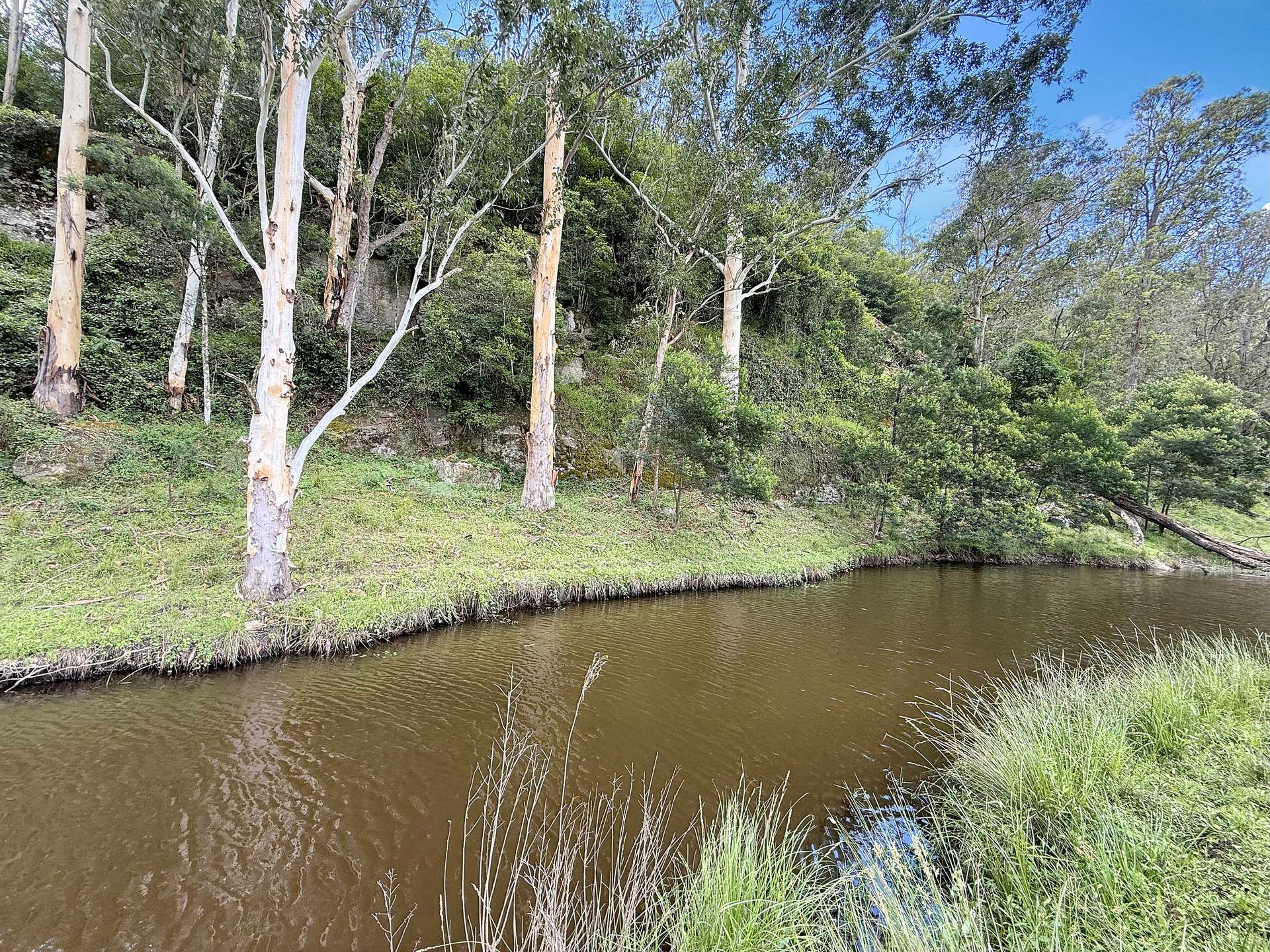 281 Watagan Creek Rd, Laguna For Sale by Farmbuy.com - image 32