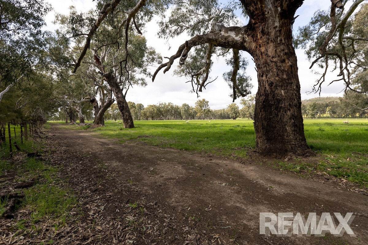 192 Roach Road, Moorong For Sale by Farmbuy.com - image 4