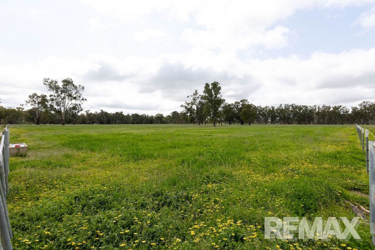 192 Roach Road, Moorong For Sale by Farmbuy.com - image 10