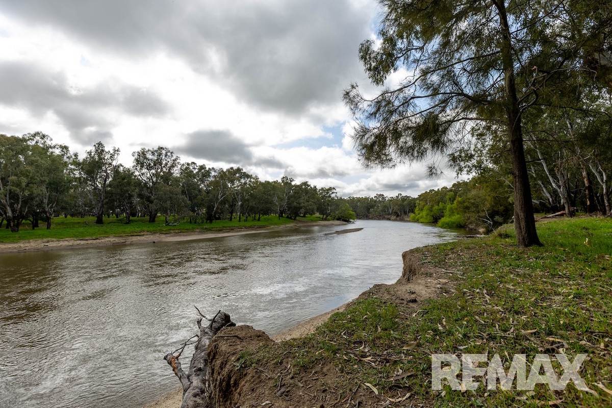 192 Roach Road, Moorong For Sale by Farmbuy.com - image 5