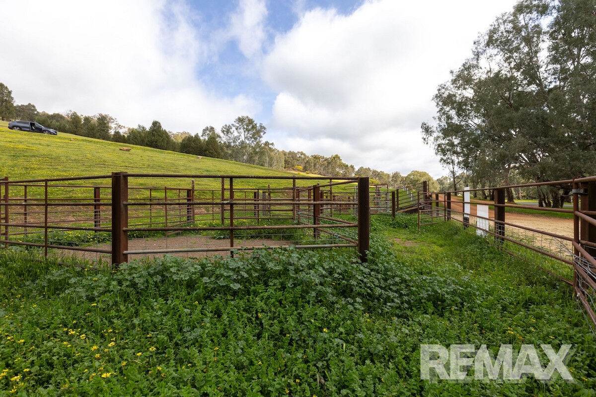 192 Roach Road, Moorong For Sale by Farmbuy.com - image 16