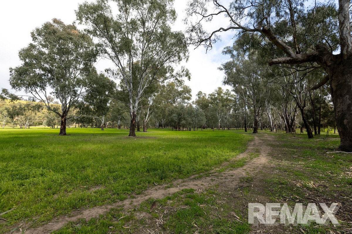 192 Roach Road, Moorong For Sale by Farmbuy.com - image 21