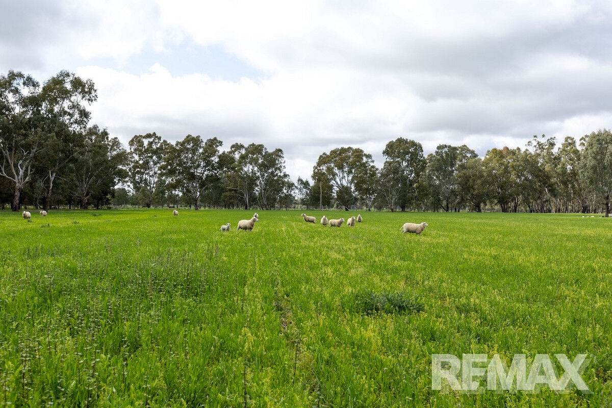 192 Roach Road, Moorong For Sale by Farmbuy.com - image 9