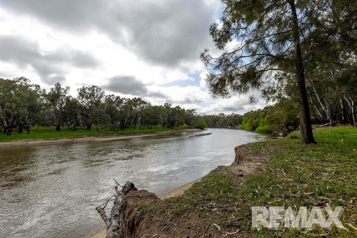 192 Roach Road, Moorong For Sale by Farmbuy.com - image 7