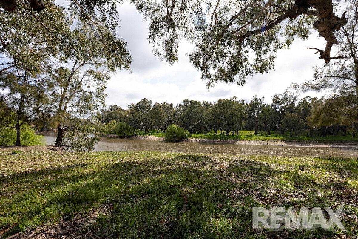 192 Roach Road, Moorong For Sale by Farmbuy.com - image 5