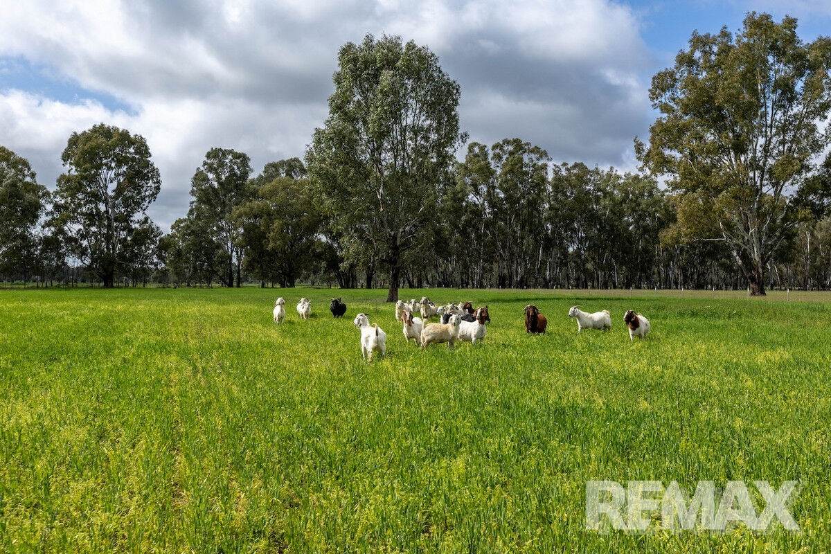 192 Roach Road, Moorong For Sale by Farmbuy.com - image 2