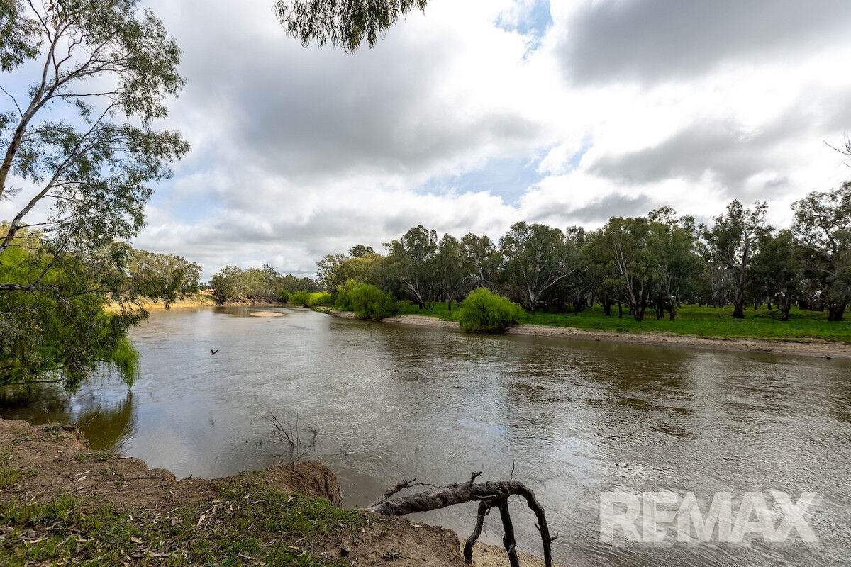 192 Roach Road, Moorong For Sale by Farmbuy.com - image 6