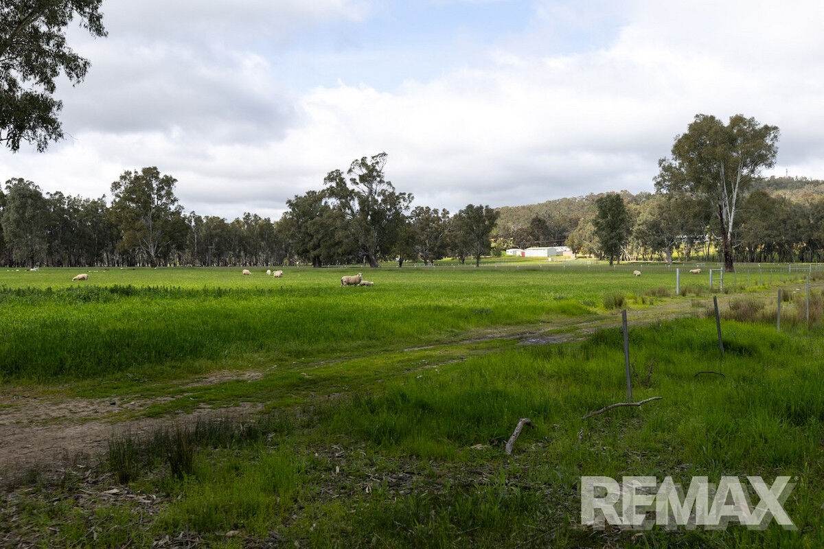 192 Roach Road, Moorong For Sale by Farmbuy.com - image 20