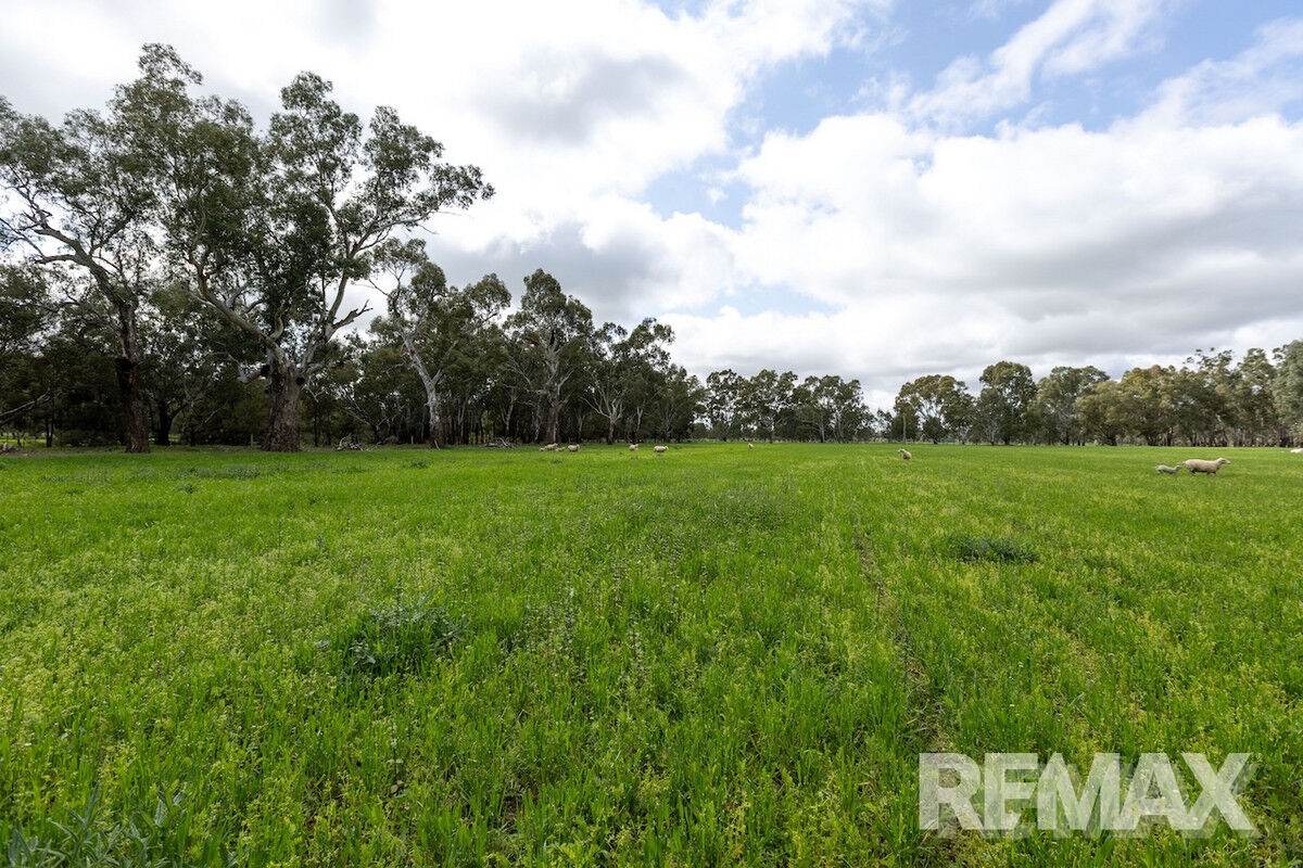 192 Roach Road, Moorong For Sale by Farmbuy.com - image 11