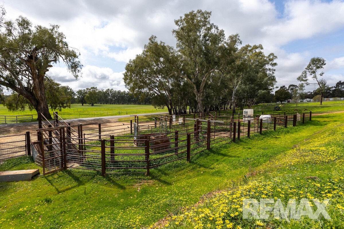 192 Roach Road, Moorong For Sale by Farmbuy.com - image 8