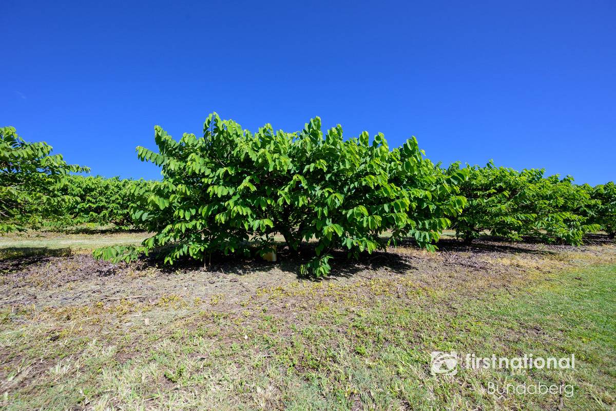 882 Ten Mile Road, South Kolan For Sale by Farmbuy.com - image 17