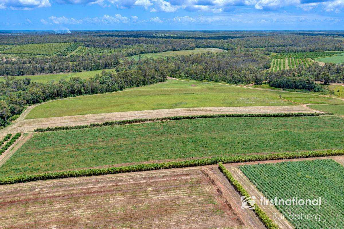 882 Ten Mile Road, South Kolan For Sale by Farmbuy.com - image 26