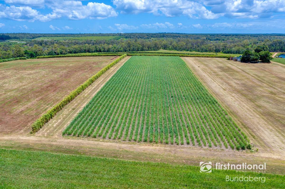 882 Ten Mile Road, South Kolan For Sale by Farmbuy.com - image 3