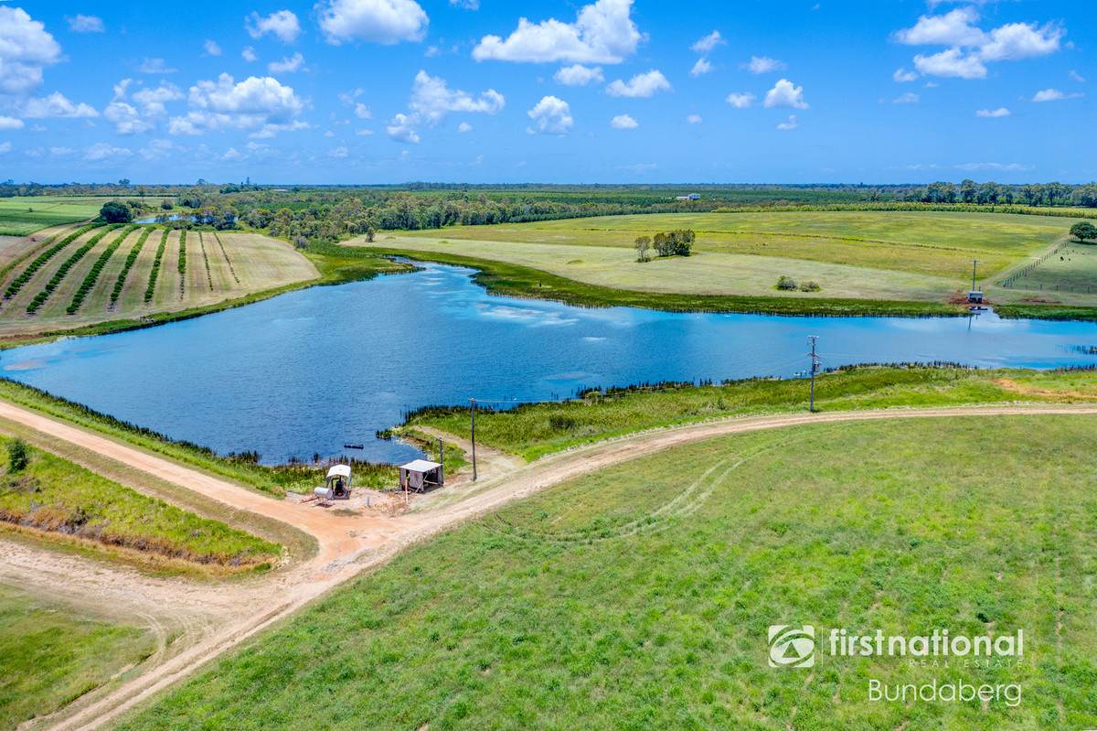 882 Ten Mile Road, South Kolan For Sale by Farmbuy.com - image 9