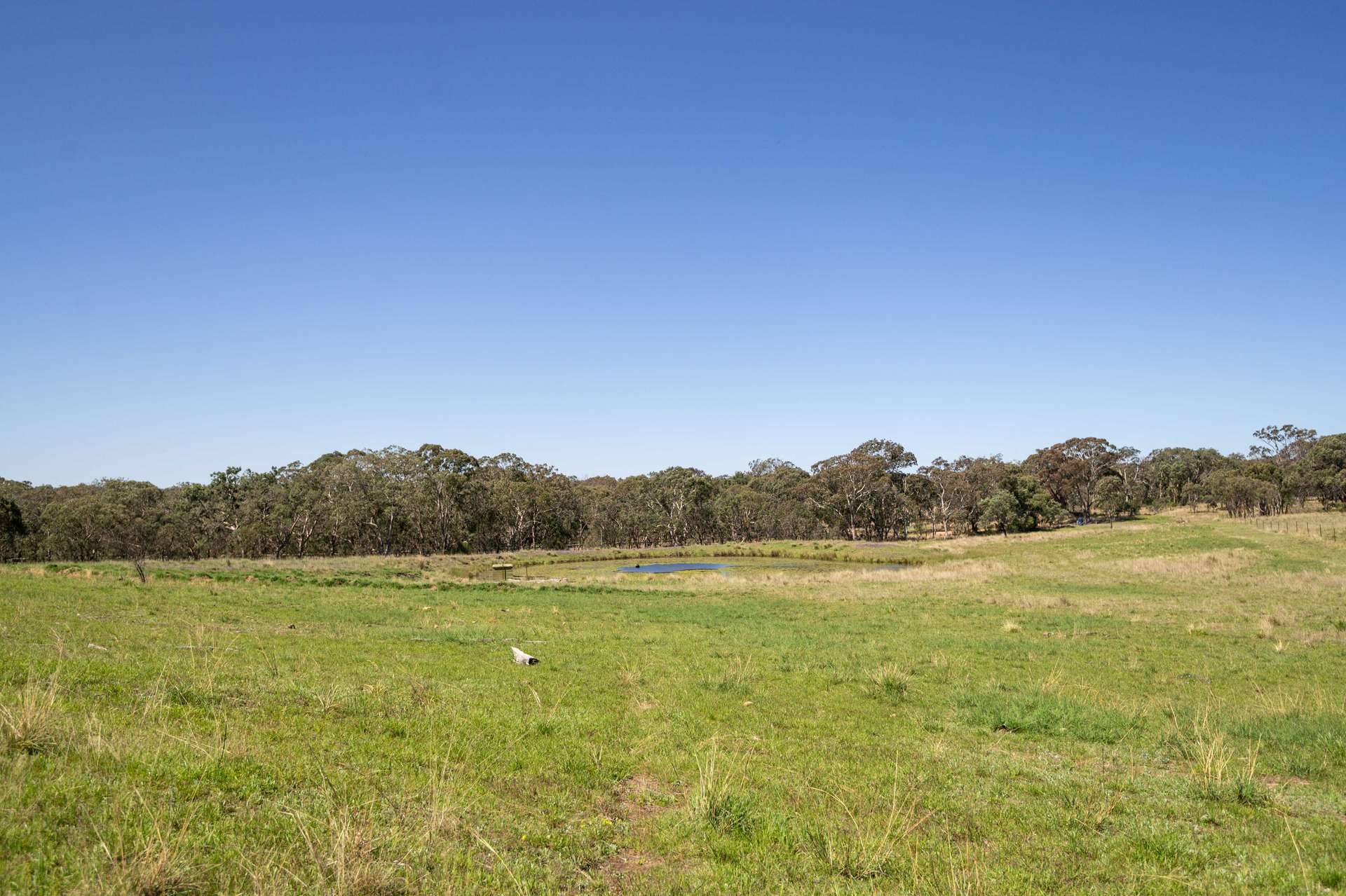 4 Brown Road, Dalveen For Sale by Farmbuy.com - image 6
