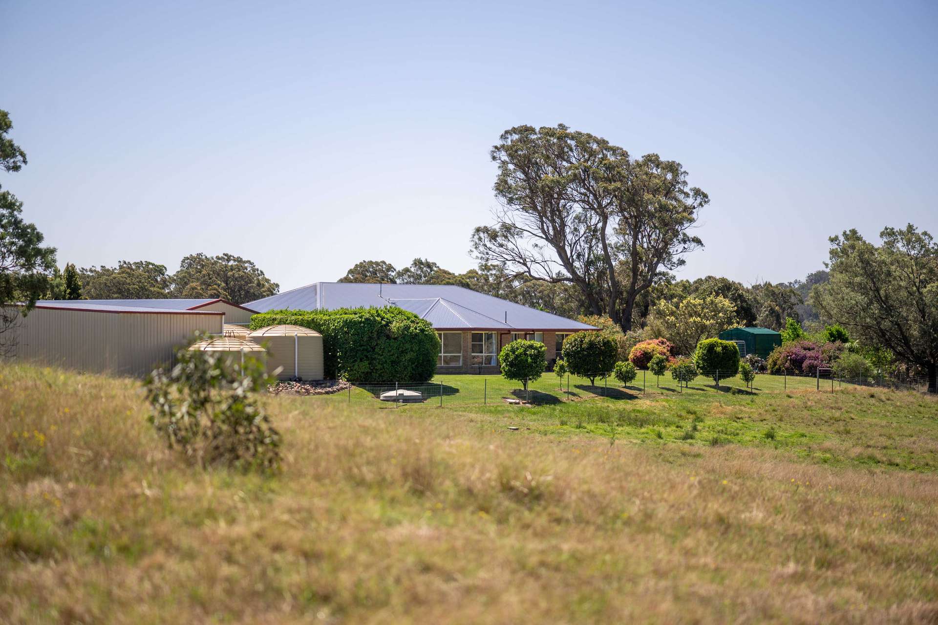 4 Brown Road, Dalveen For Sale by Farmbuy.com - image 3