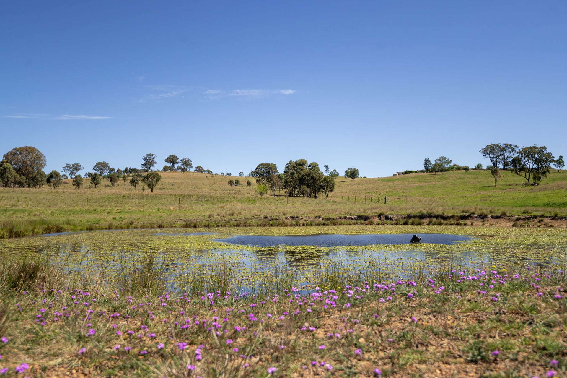 4 Brown Road, Dalveen For Sale by Farmbuy.com - image 7