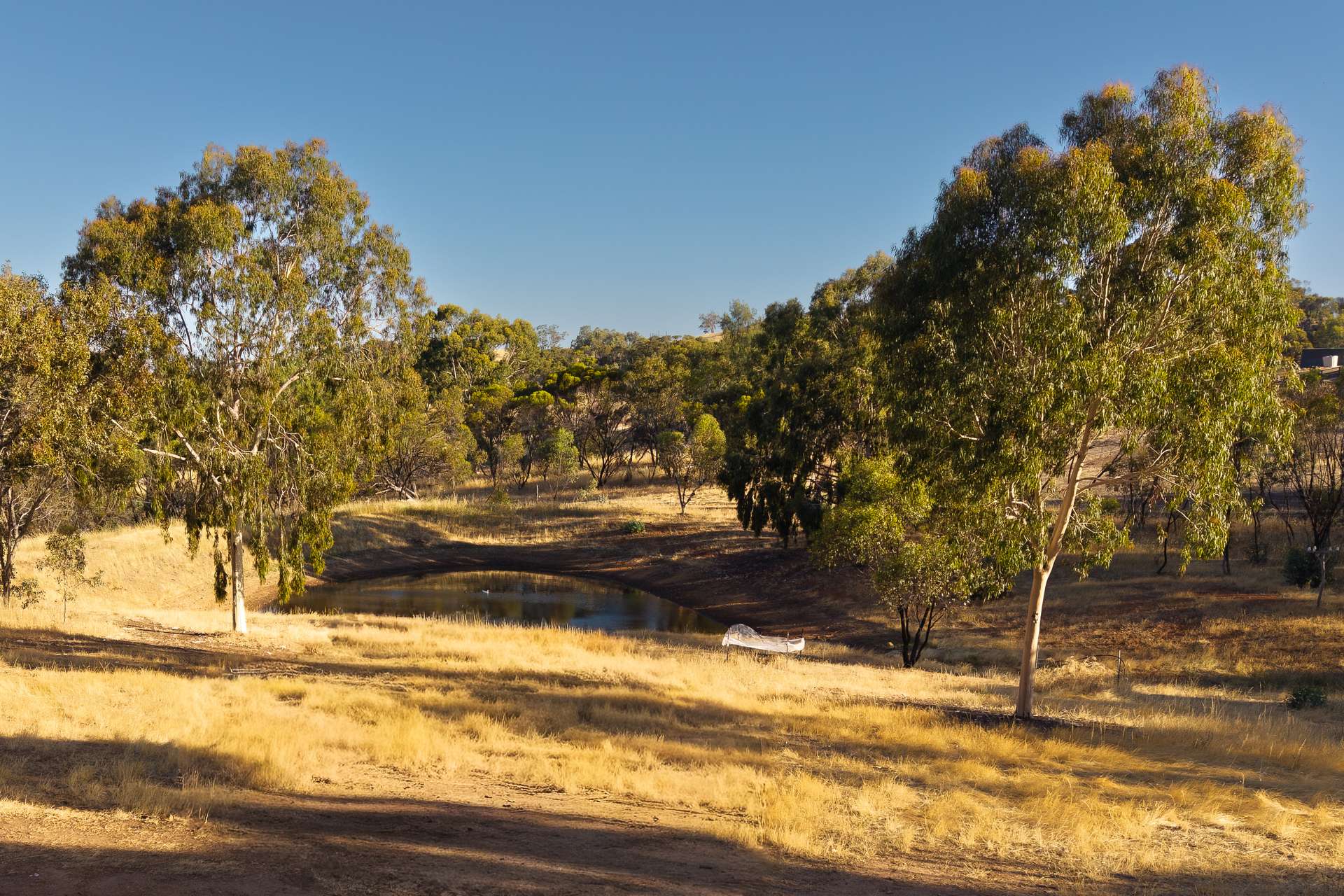 88 Dreyer Road, West Toodyay Sold by Farmbuy.com - image 25