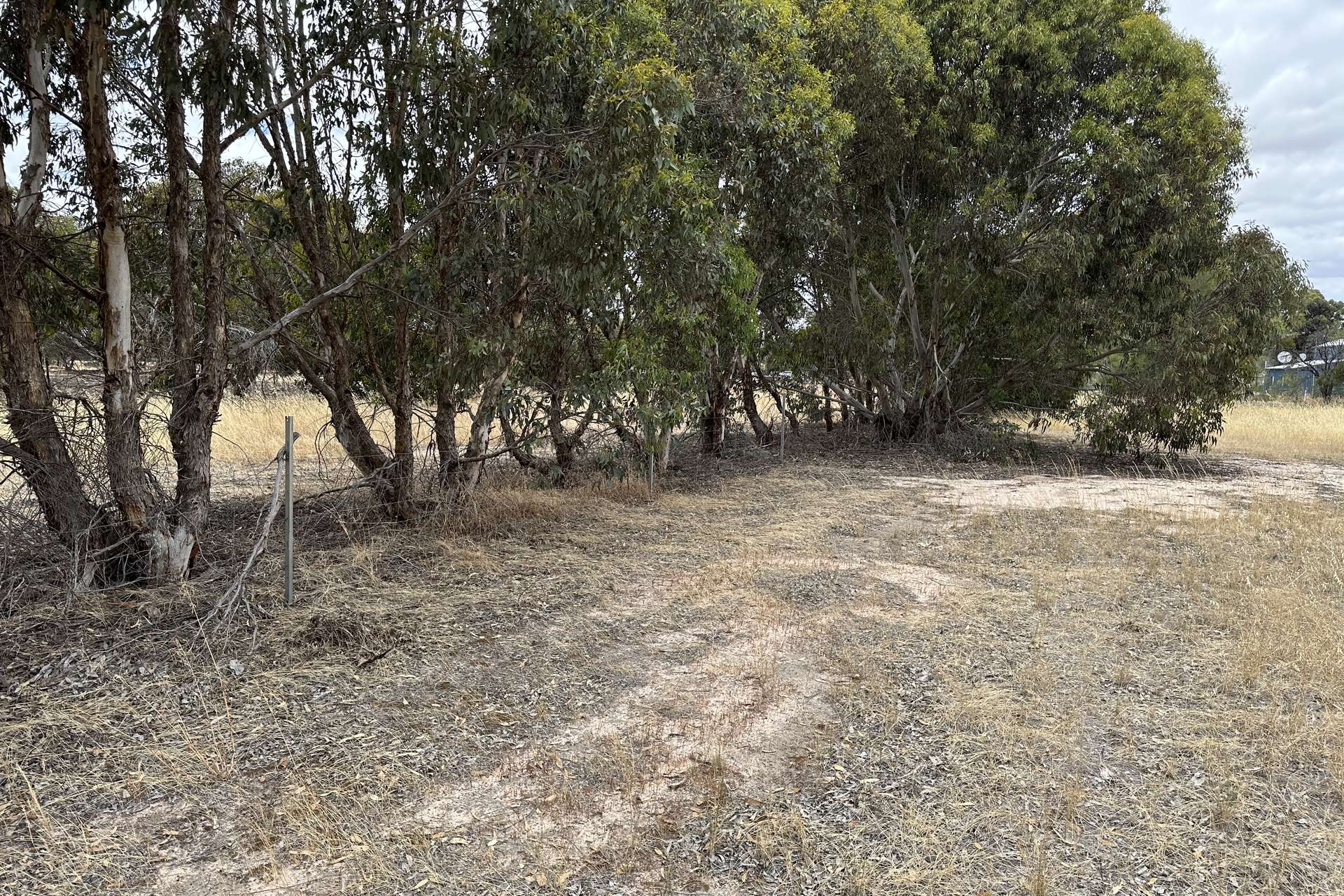 6 Steere Road, Woodanilling Sold by Farmbuy.com - image 5