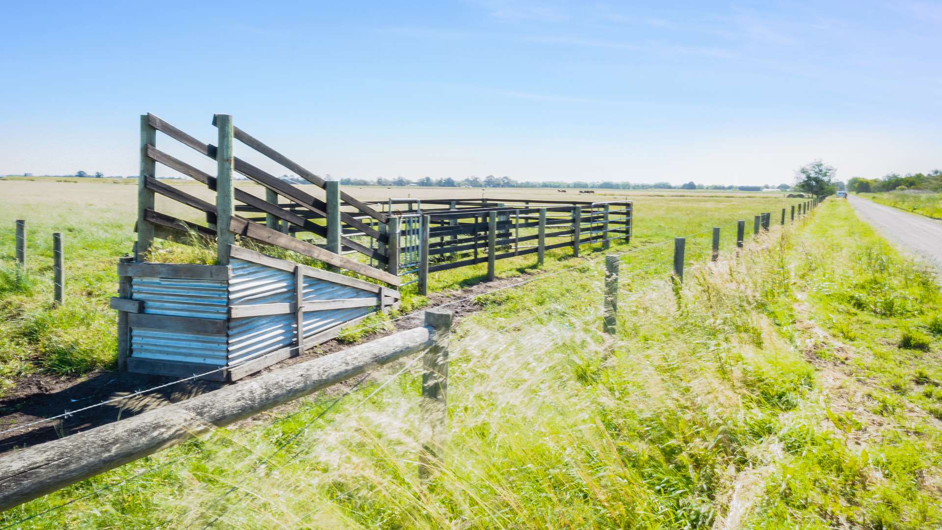 215 Hogans Road, Bayles For Sale by Farmbuy.com - image 6