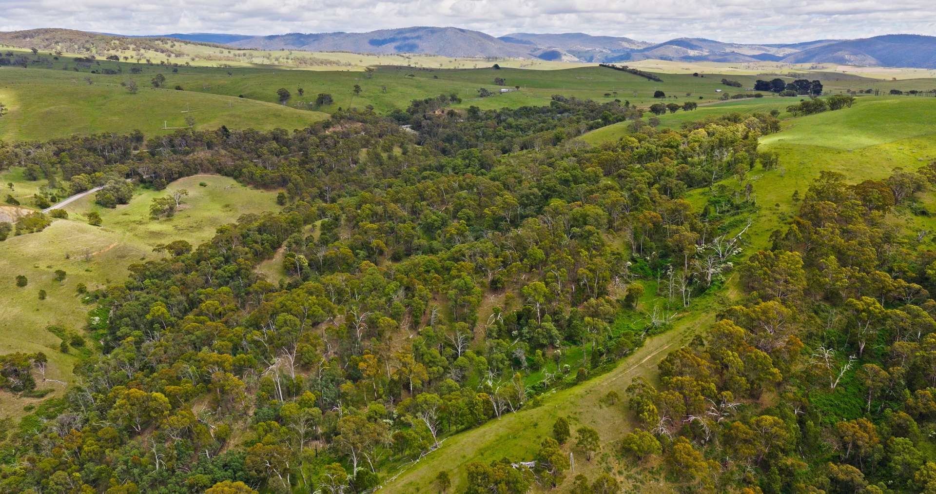 Lot 2 - 289 Tongio Gap Road, Tongio Sold by Farmbuy.com - image 8