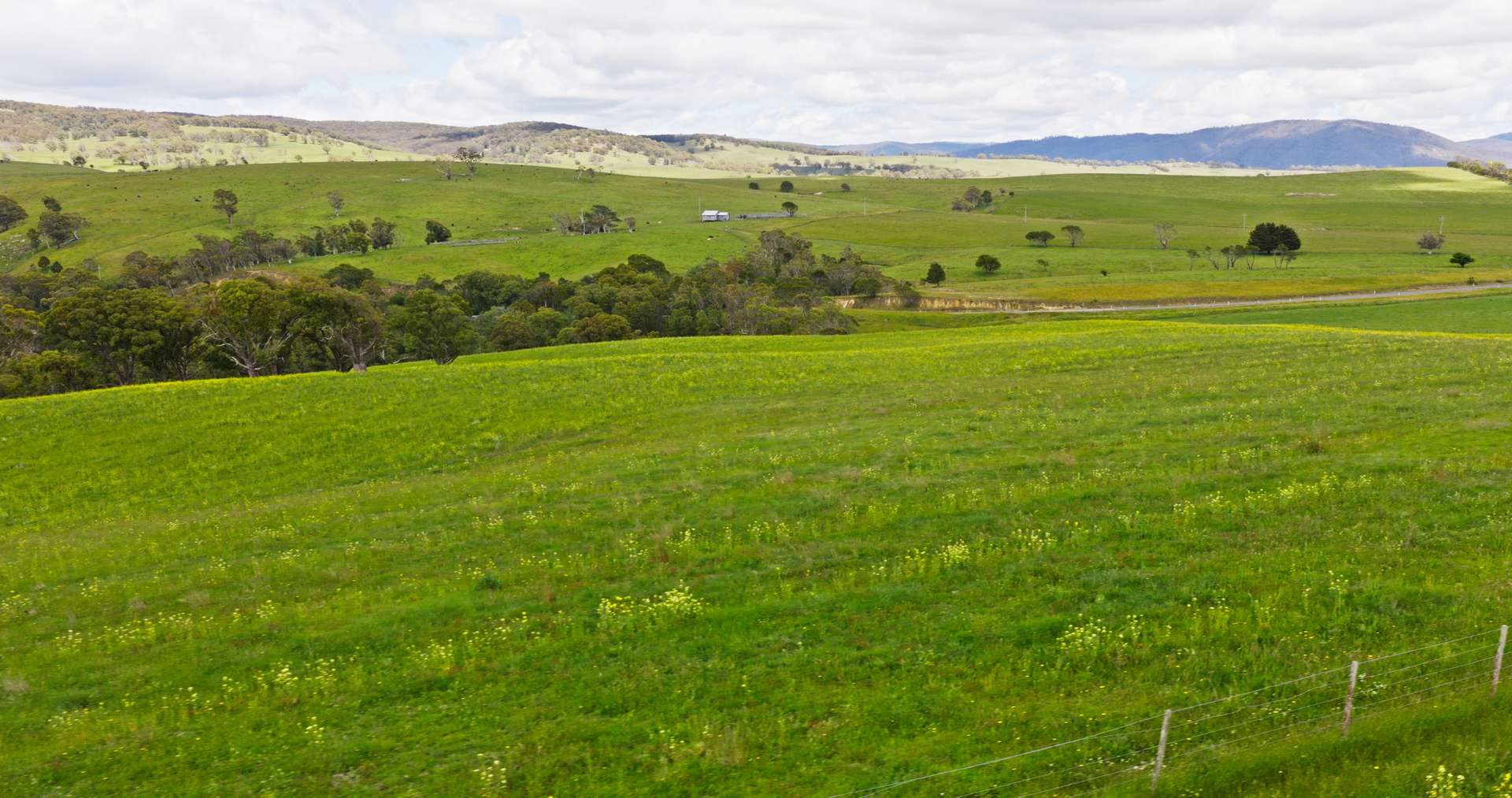Lot 2 - 289 Tongio Gap Road, Tongio Sold by Farmbuy.com - image 13