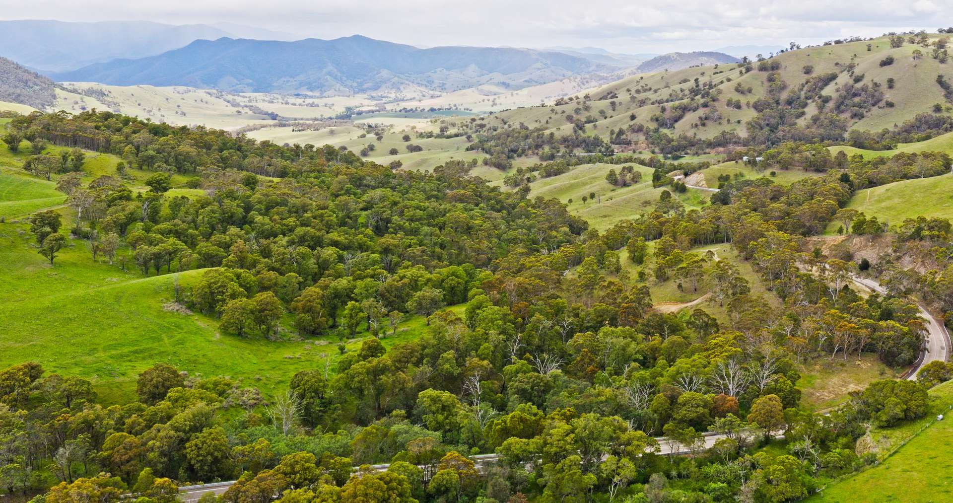 Lot 2 - 289 Tongio Gap Road, Tongio Sold by Farmbuy.com - image 3