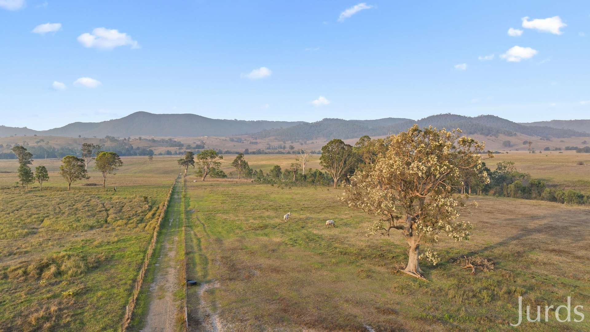 232C Fernhill Road, Dalwood For Sale by Farmbuy.com - image 17