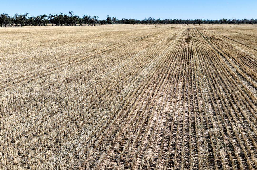 18345 Gwydir Highway, Pallamallawa Sold by Farmbuy.com - image 22