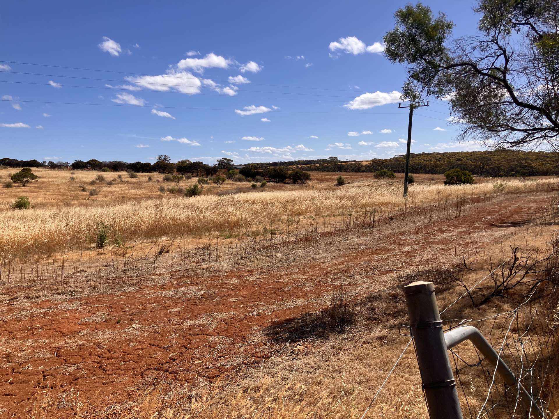 Lot 1383, 18801 South Coast Highway, Ravensthorpe Sold by Farmbuy.com - image 4
