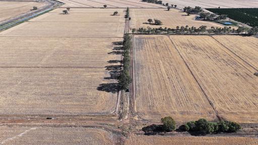 Farm 65 Stoney Point Road, Leeton NSW 2705