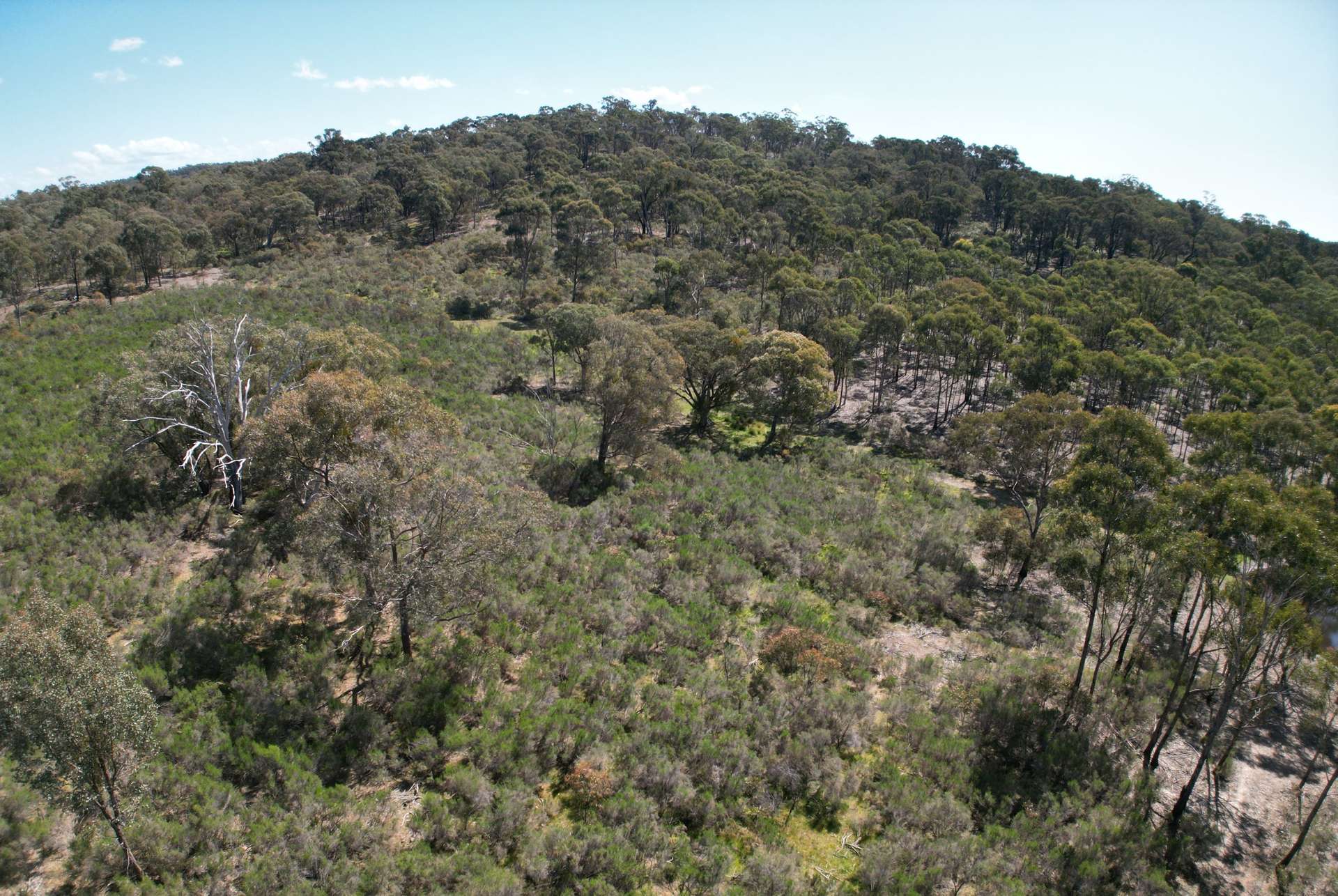 Lot 12 Heathcote-Nagambie Road, Moormbool West For Sale by Farmbuy.com - image 8