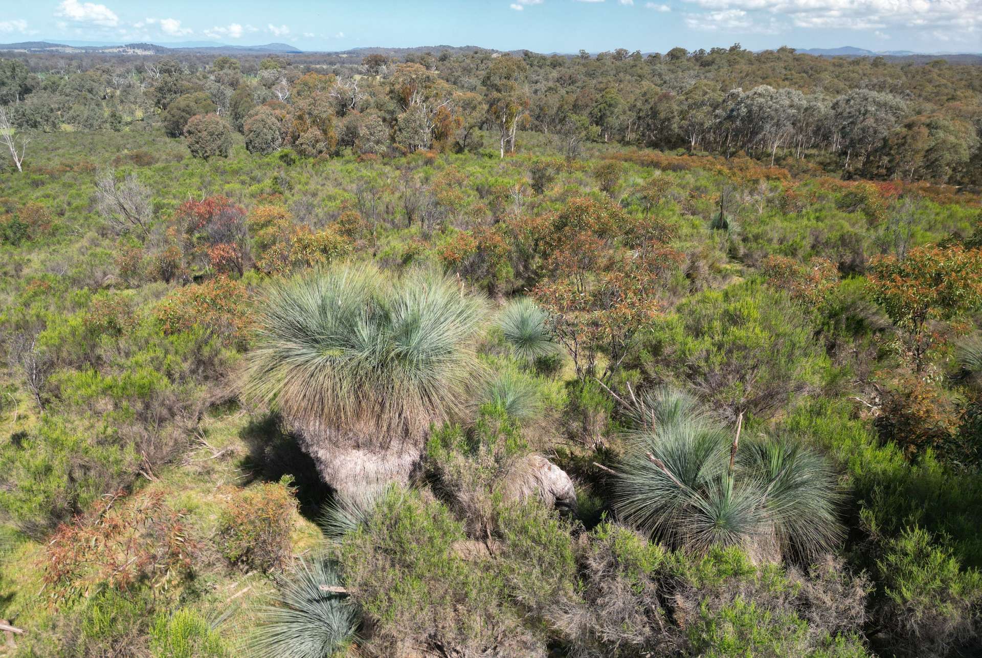 Lot 12 Heathcote-Nagambie Road, Moormbool West For Sale by Farmbuy.com - image 1