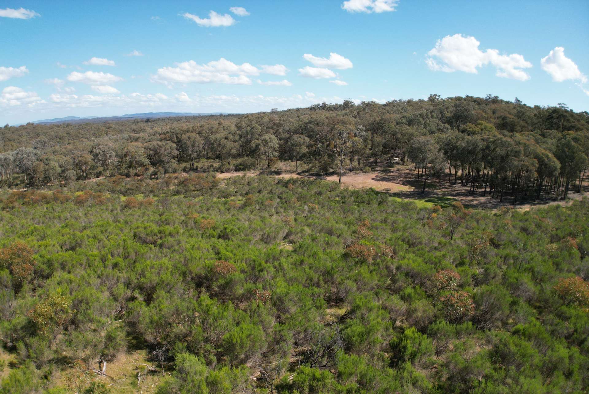 Lot 12 Heathcote-Nagambie Road, Moormbool West For Sale by Farmbuy.com - image 12