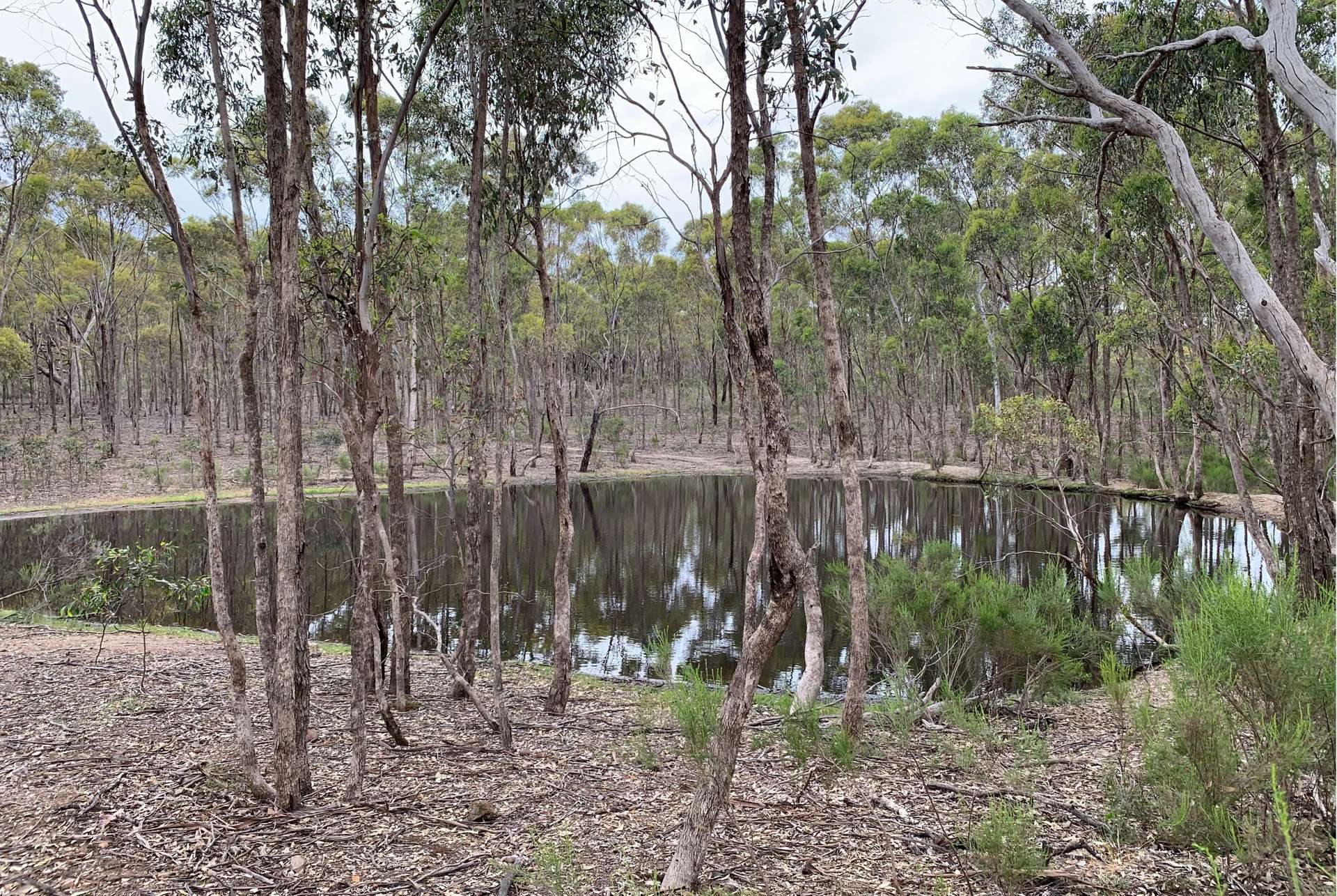 Lot 12 Heathcote-Nagambie Road, Moormbool West For Sale by Farmbuy.com - image 3