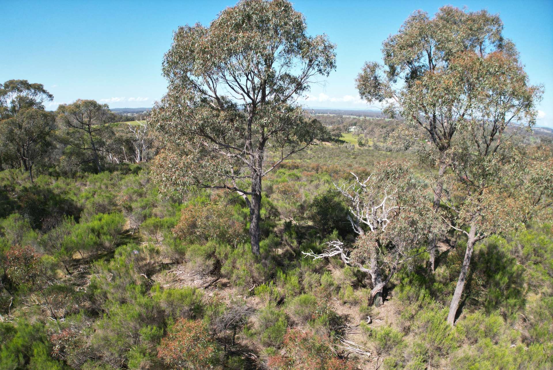 Lot 12 Heathcote-Nagambie Road, Moormbool West For Sale by Farmbuy.com - image 11