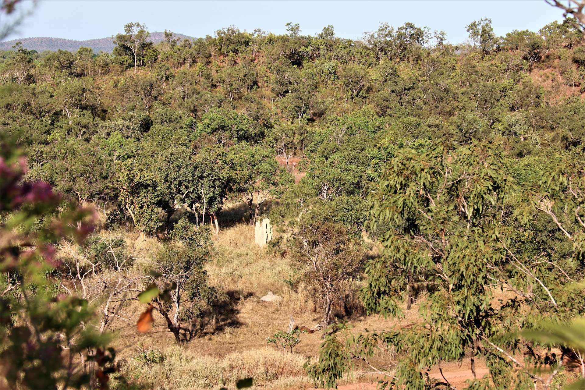 965 Strickland Road, Adelaide River For Sale by Farmbuy.com - image 32