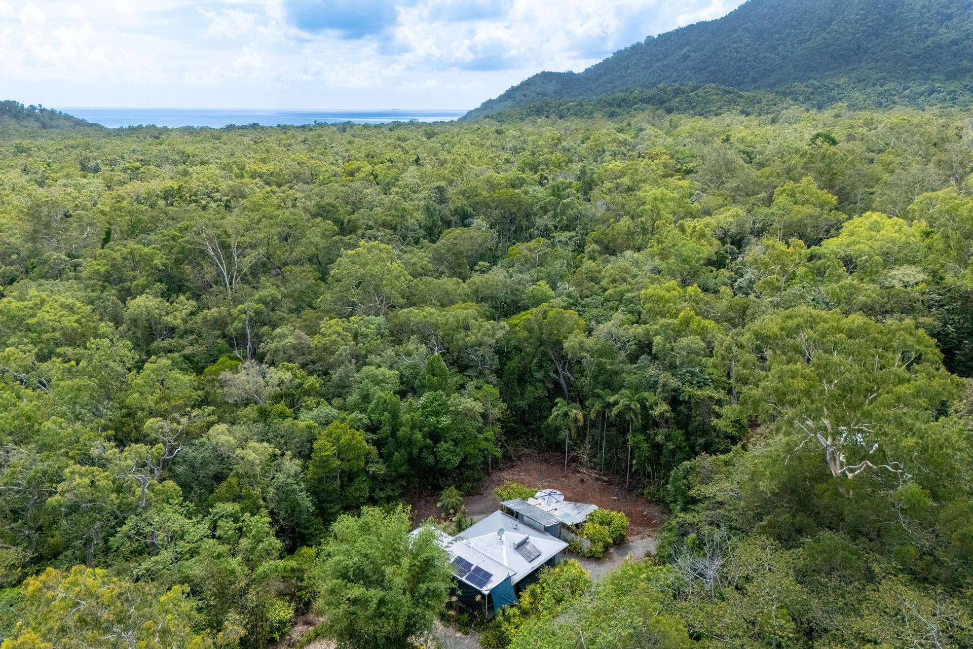 59-101 Quandong Road, Cow Bay, Daintree Sold by Farmbuy.com - image 1