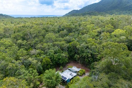 Farm Sold - QLD - Daintree - 4873 - Potential and Possibility on a Private 2-Hectare Rainforest Retreat 