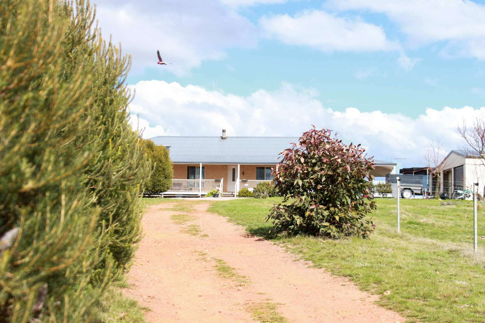 2321 Rugby Road, Rugby Sold by Farmbuy.com - image 24